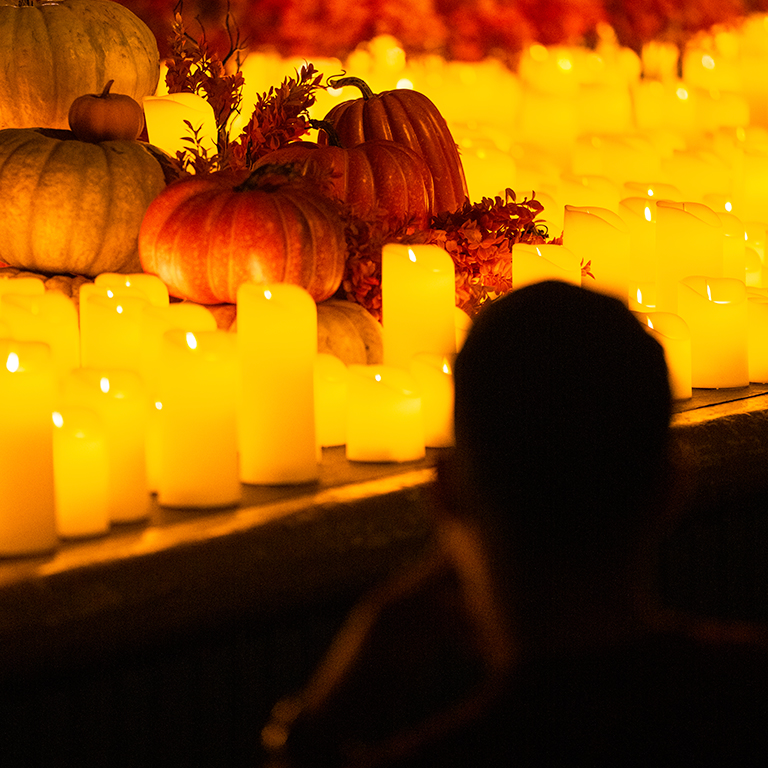 Candlelight A Haunted Evening of Halloween Classics